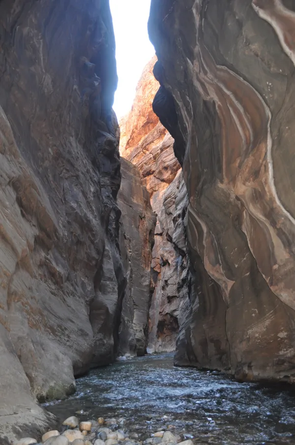 Zion National Park photo 278