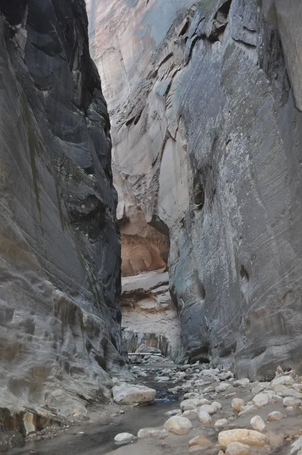 Zion National Park photo 281