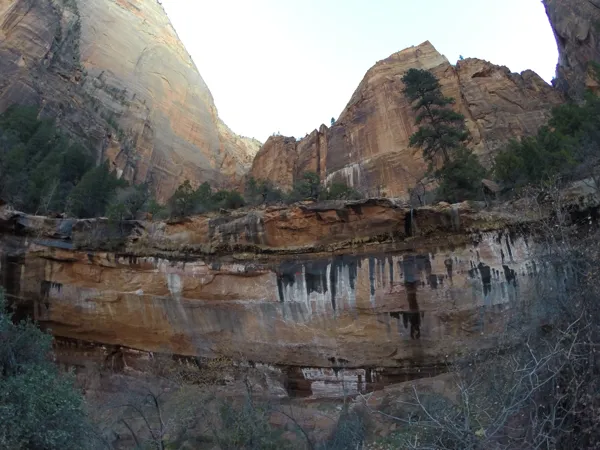 Zion National Park photo 286