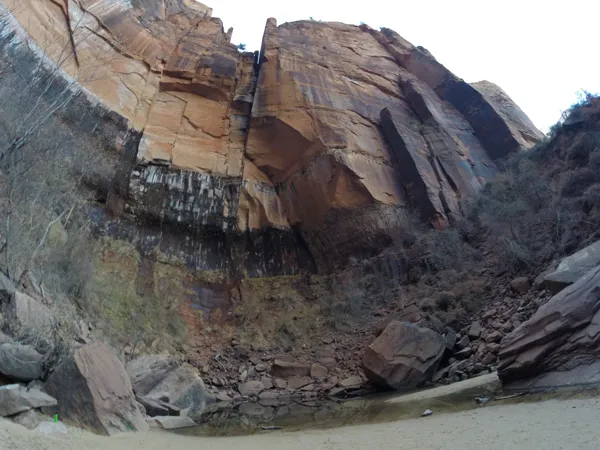 Zion National Park photo 289