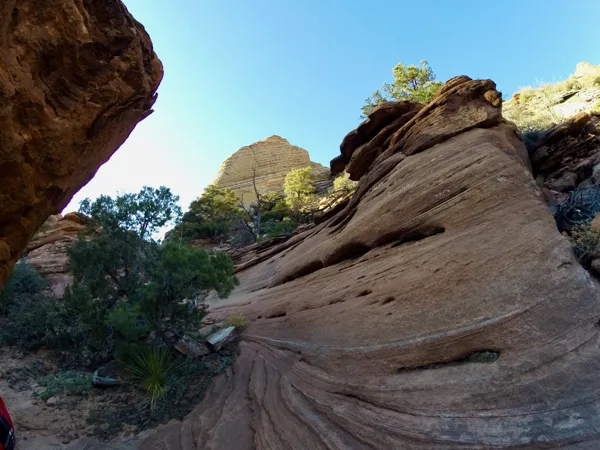 Zion National Park photo 290
