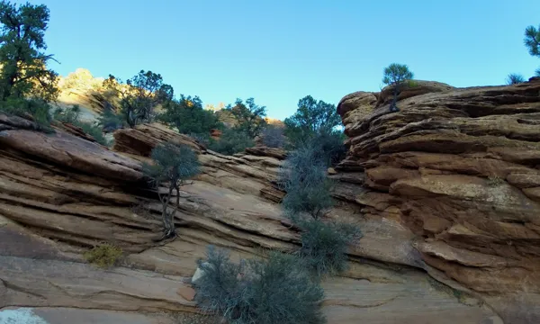 Zion National Park photo 291