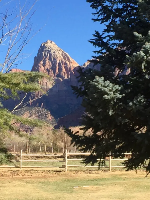 Zion National Park photo 293