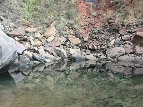 Zion National Park photo 294