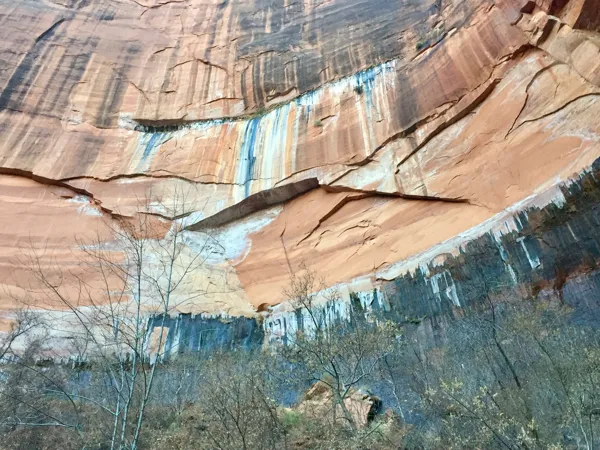 Zion National Park photo 295
