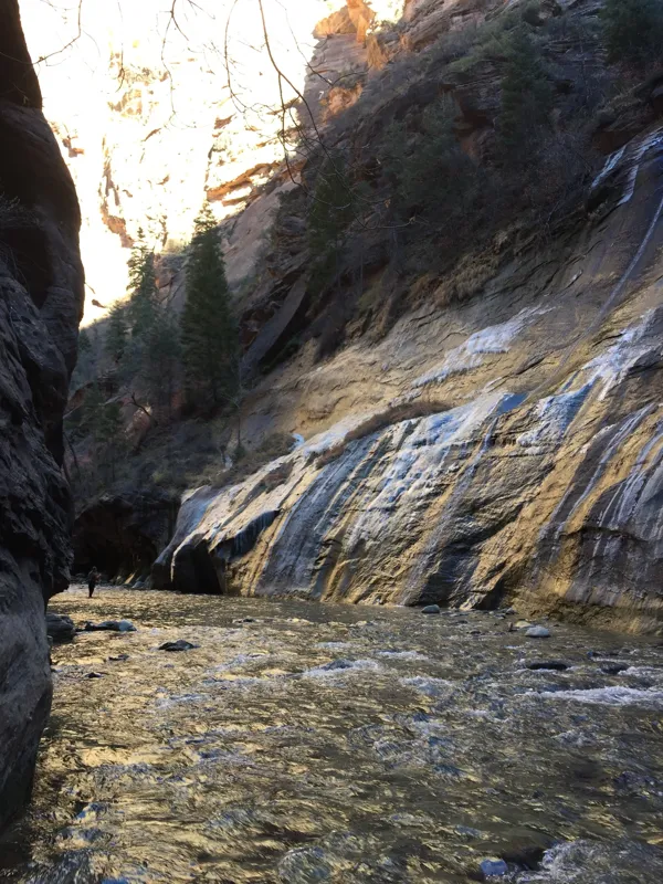 Zion National Park photo 298