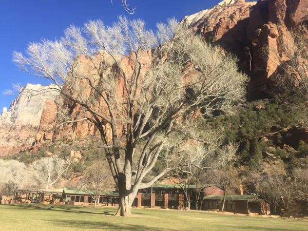 Zion National Park photo 299