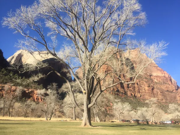 Zion National Park photo 300