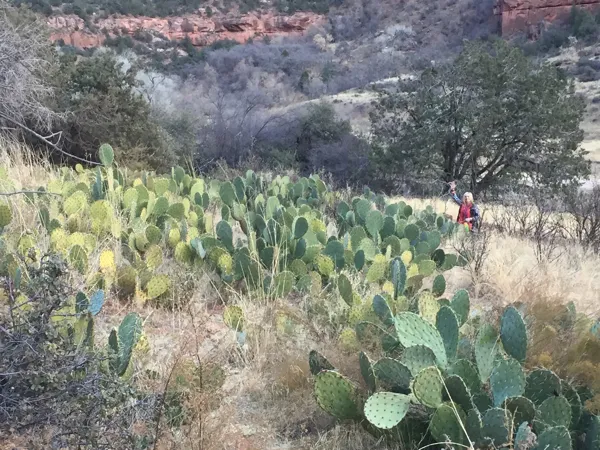 Zion National Park photo 303