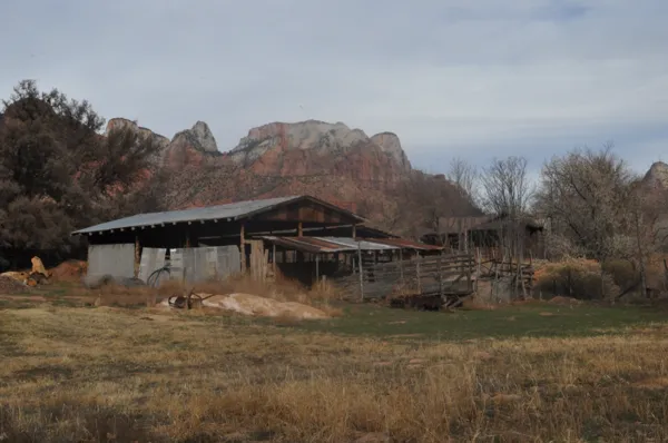 Zion National Park photo 308