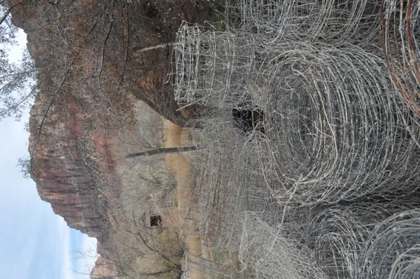 Zion National Park photo 310
