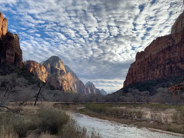 Zion National Park photo 314