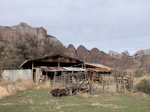 Zion National Park photo 317