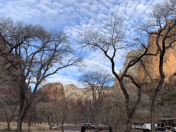 Zion National Park photo 320