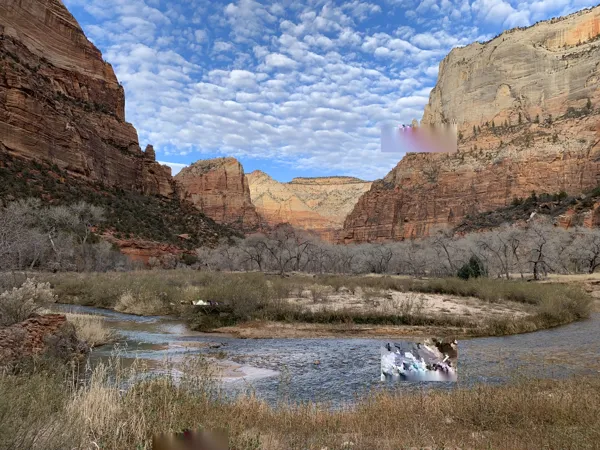 Zion National Park photo 321