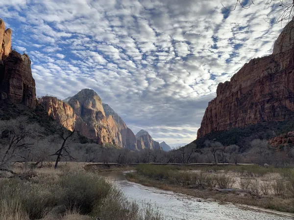 Zion National Park photo 322