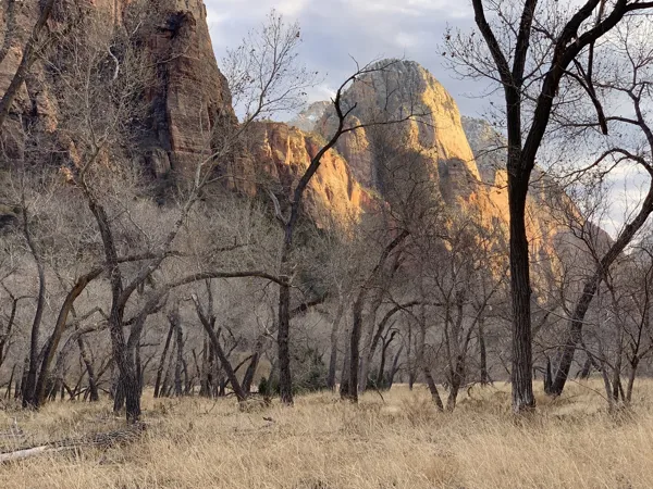 Zion National Park photo 324