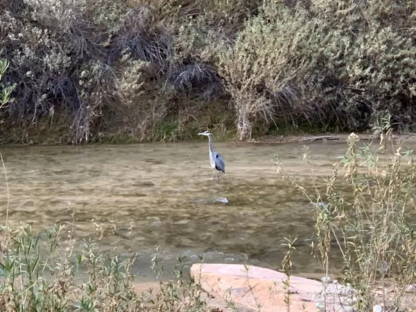 Zion National Park photo 325