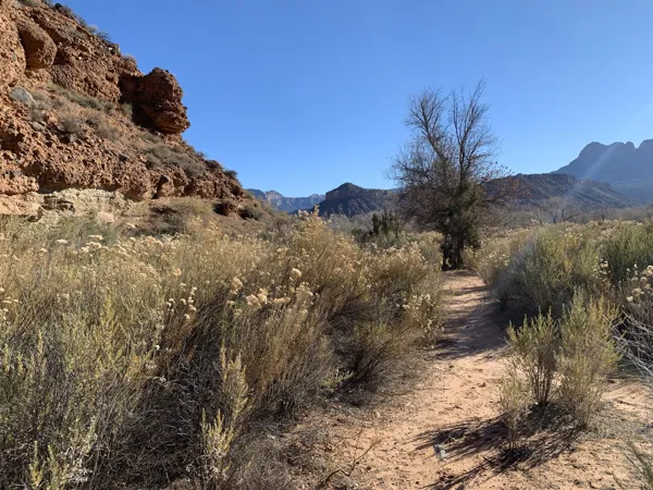 Zion National Park photo 326