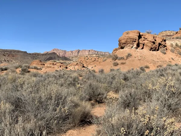 Zion National Park photo 327