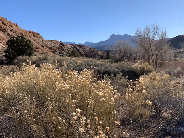 Zion National Park photo 329