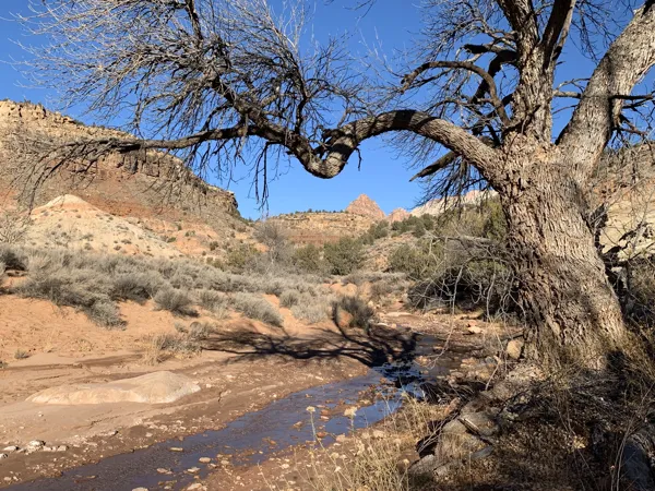 Zion National Park photo 333