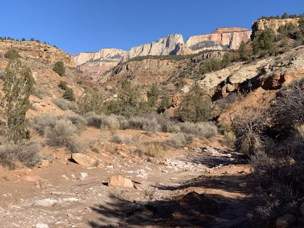 Zion National Park photo 334