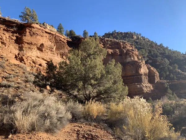 Zion National Park photo 336
