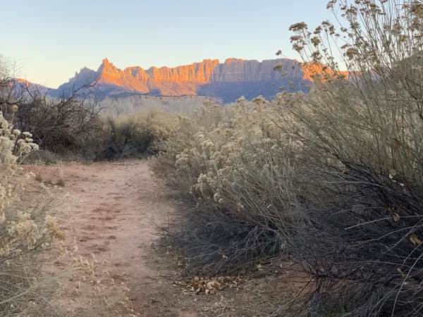 Zion National Park photo 340