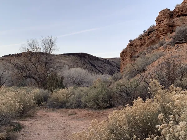 Zion National Park photo 341