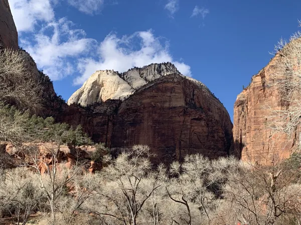Zion National Park photo 343