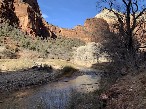 Zion National Park photo 345