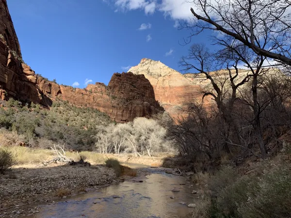 Zion National Park photo 346