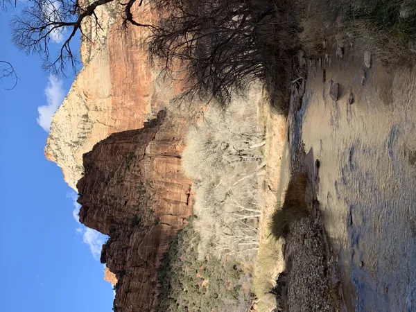 Zion National Park photo 347