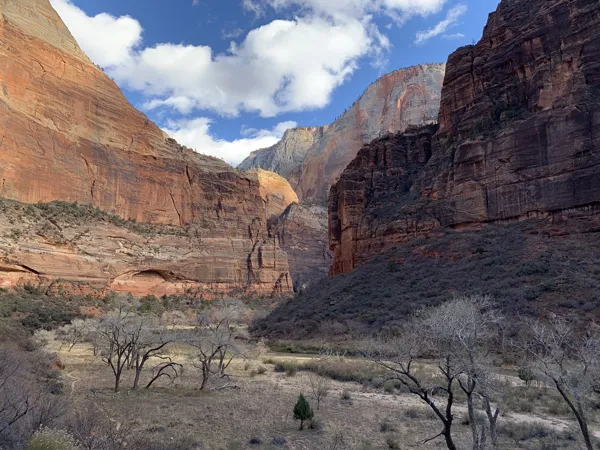 Zion National Park photo 348