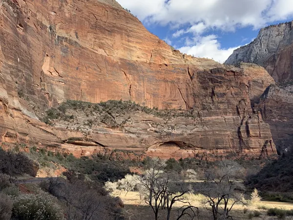 Zion National Park photo 349