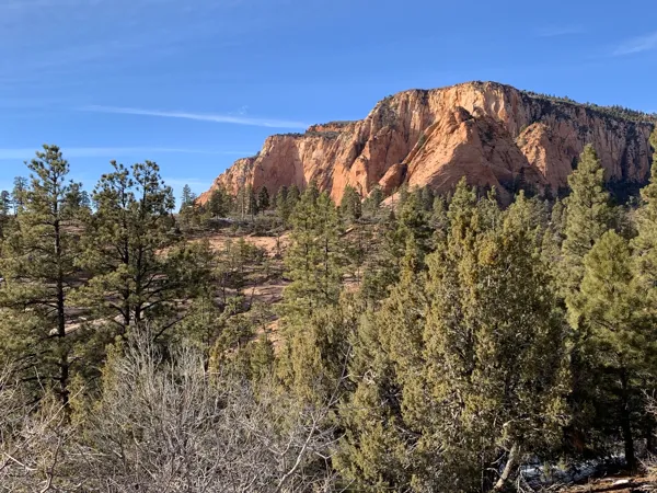 Zion National Park photo 356