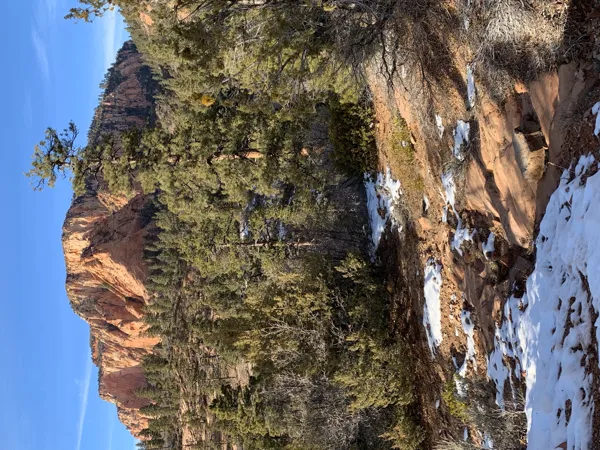 Zion National Park photo 357
