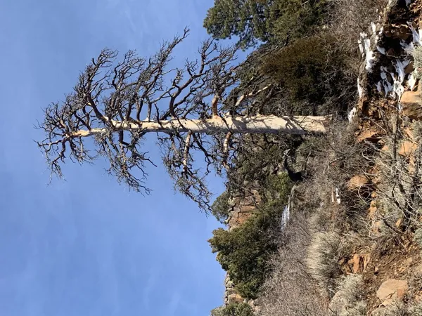 Zion National Park photo 358