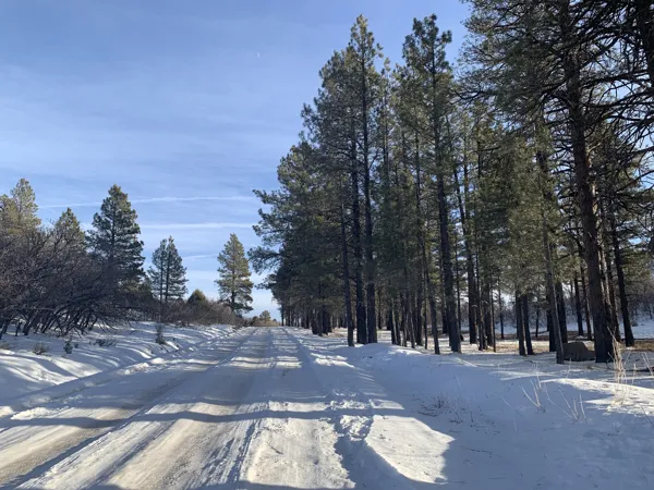 Zion National Park photo 360