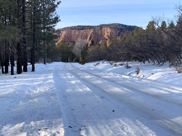 Zion National Park photo 368