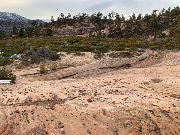 Zion National Park photo 369
