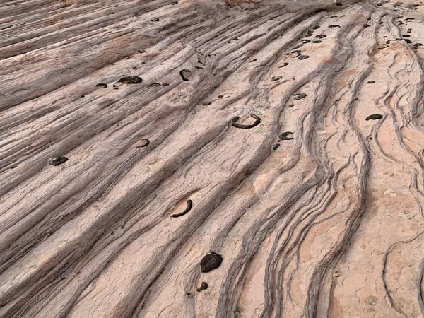 Zion National Park photo 370