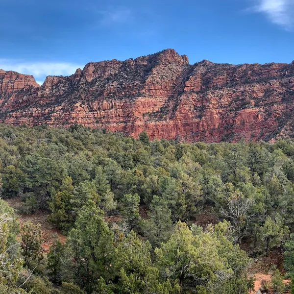 Zion National Park photo 376