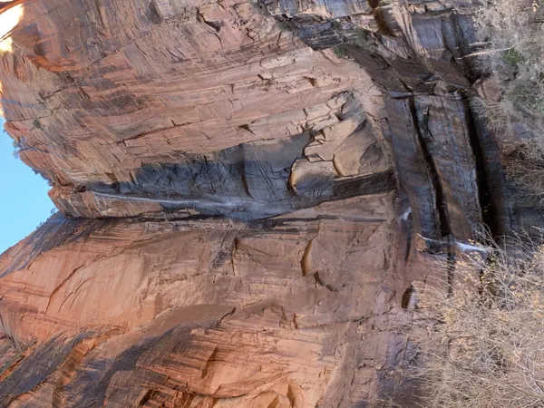 Zion National Park photo 379