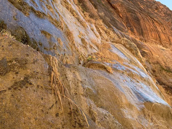 Zion National Park photo 380