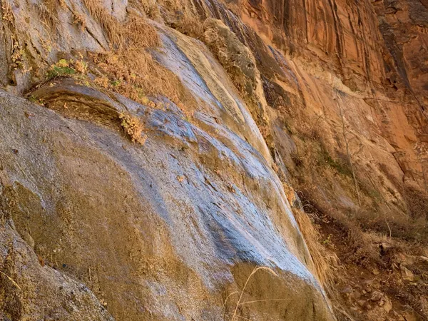 Zion National Park photo 381