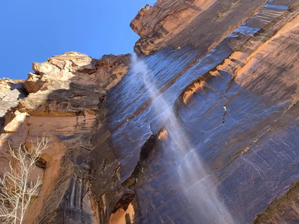 Zion National Park photo 382