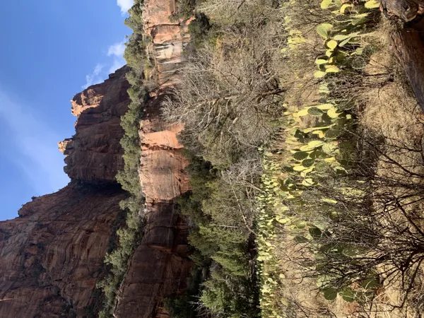 Zion National Park photo 384