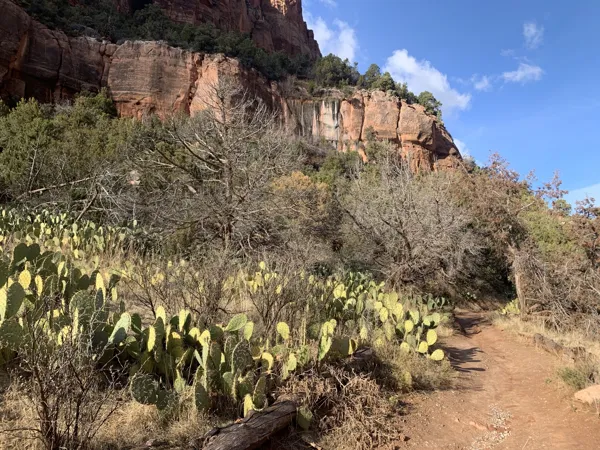 Zion National Park photo 385
